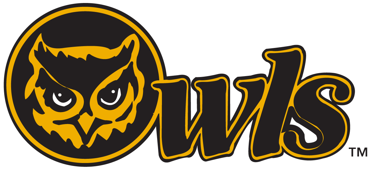 Kennesaw State Owls 0-2011 Secondary Logo v2 iron on transfers for fabric
